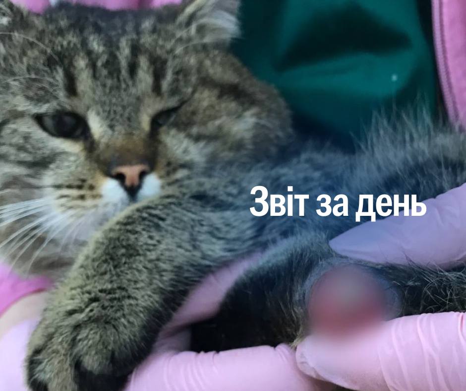 1 145 день повномасштабного вторгнення росії в Україну
