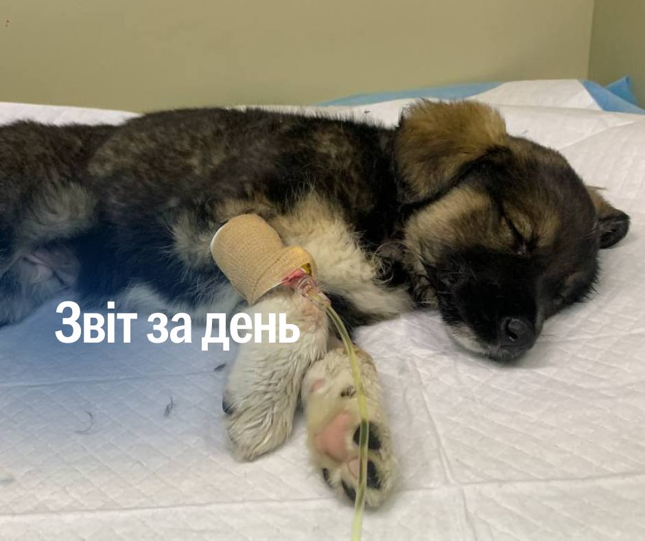 📌1 143 день повномасштабного вторгнення