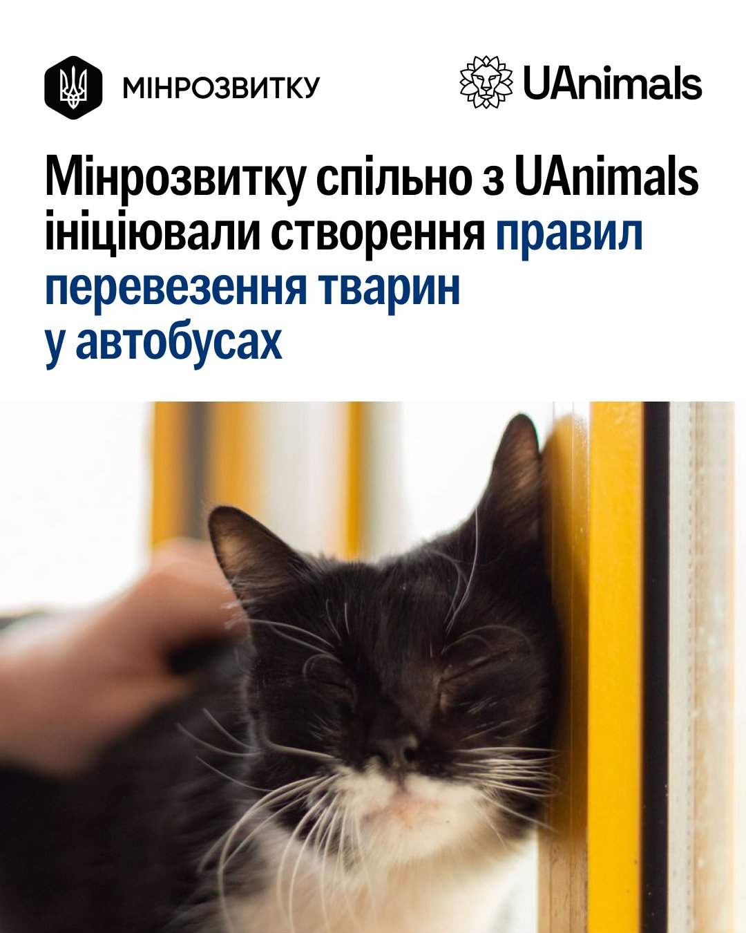 🚍🐾Правила перевезення тварин у автобусах!