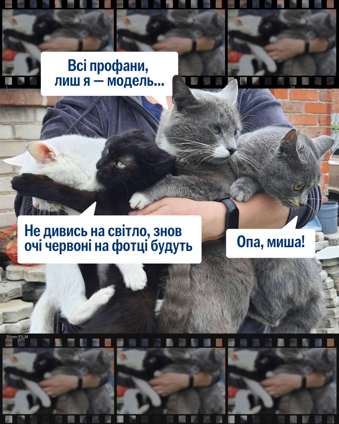 Найкращі моделі потребують професійних фотографів!