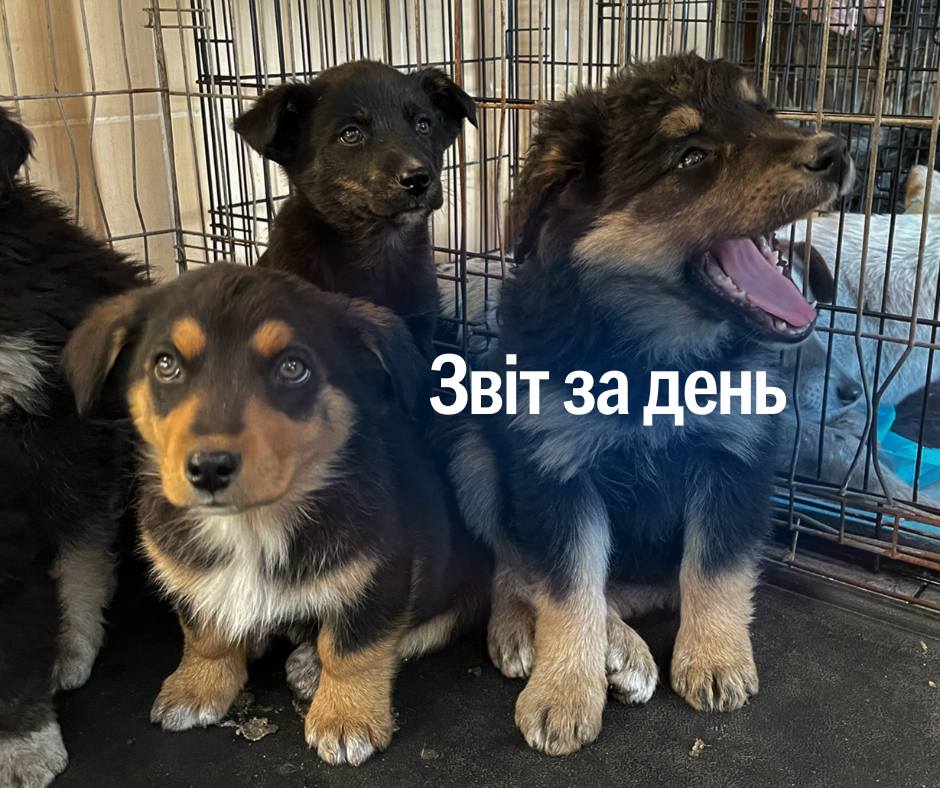 📌 1 152 день повномасштабного вторгнення