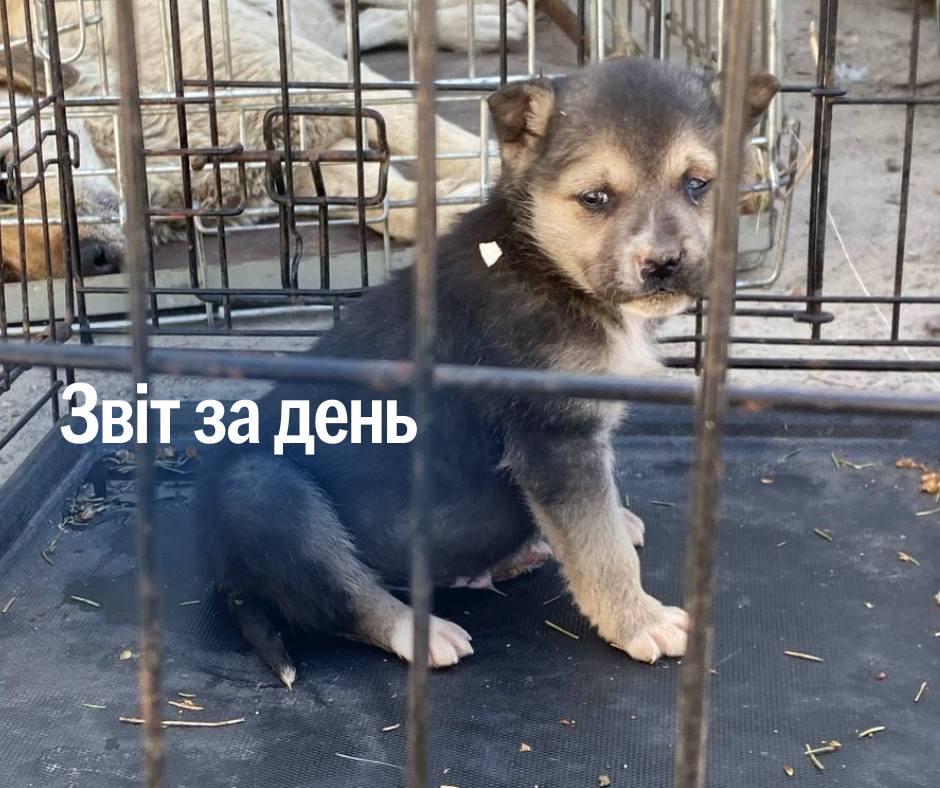 📌 1 154 день повномасштабного вторгнення
