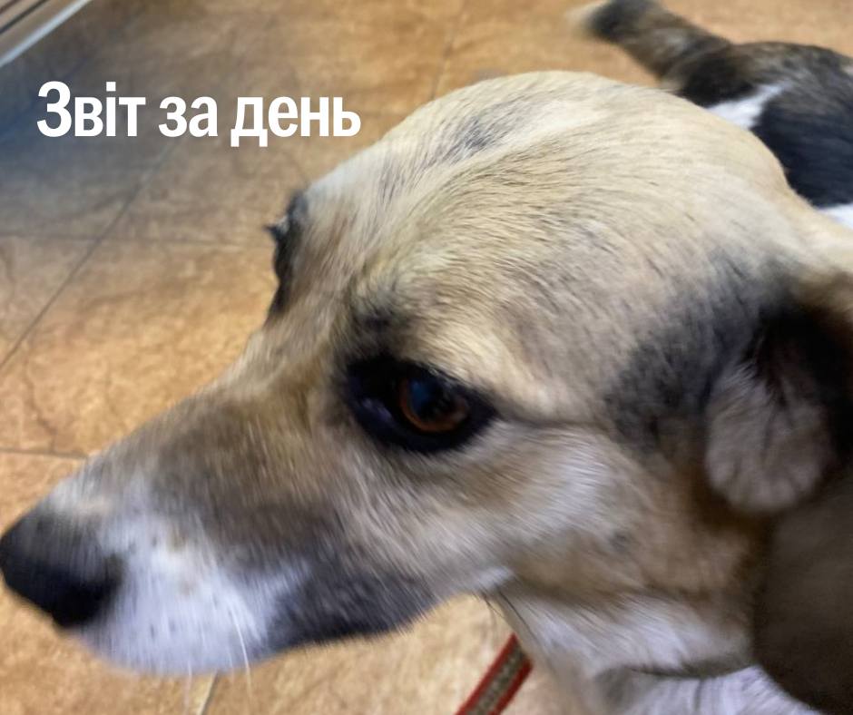 📌 1 156 день повномасштабного вторгнення