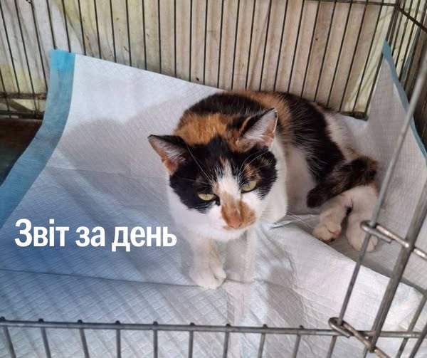 📌 1 160 день повномасштабного вторгнення