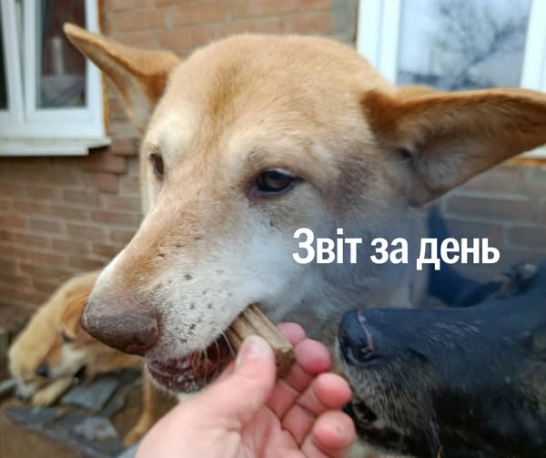 📌 1 159 день повномасштабного вторгнення