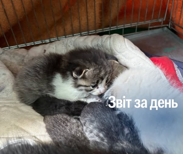 📌 1 163 день повномасштабного вторгнення