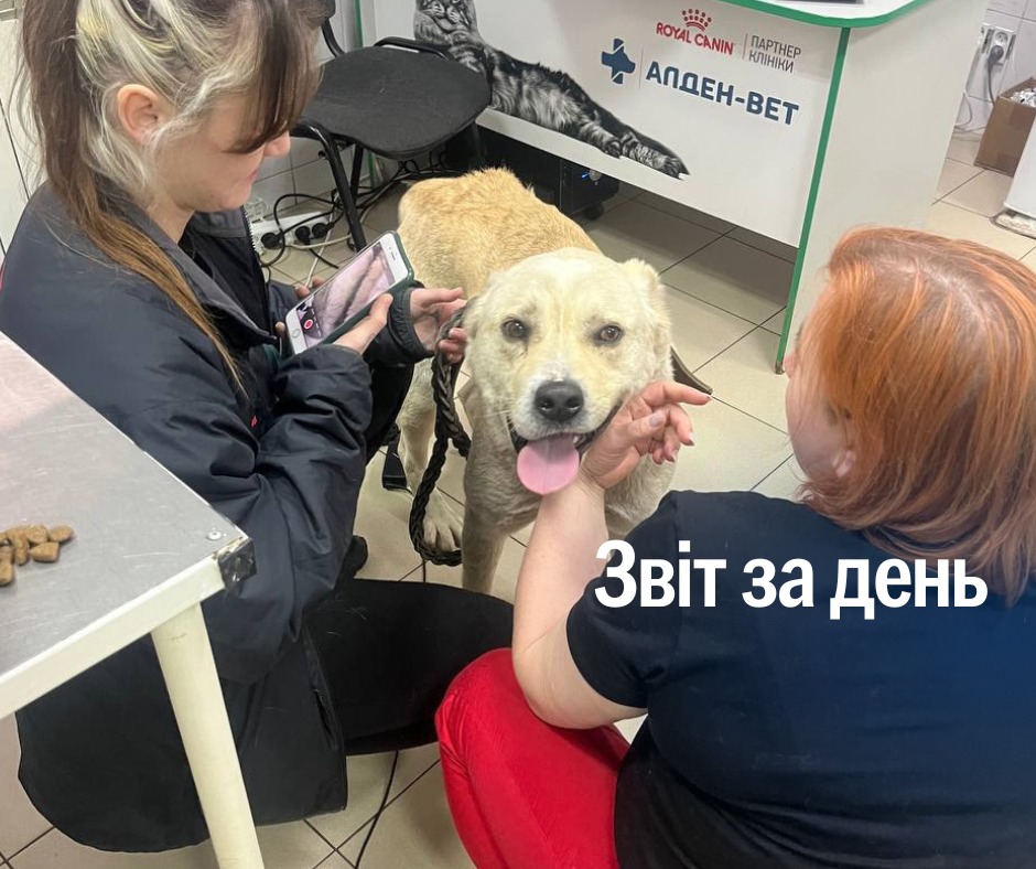 📌 1 170 день повномасштабного вторгнення