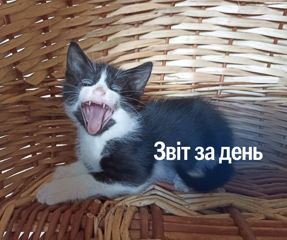 📌 1 191 день повномасштабного вторгнення