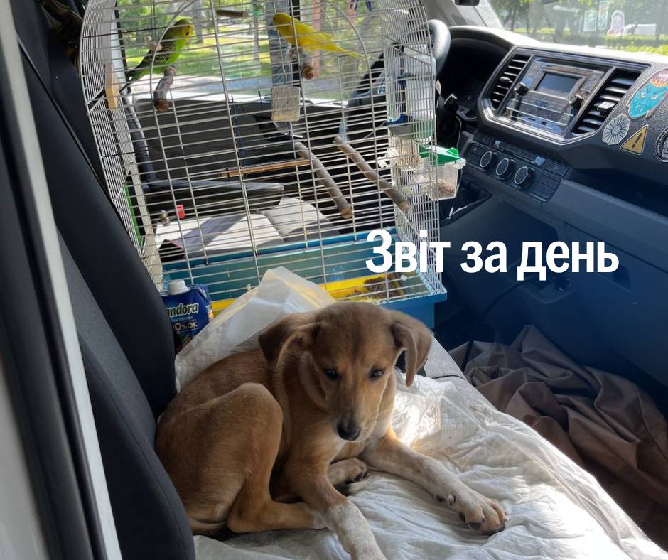 📌 1177 день повномасштабного вторгнення