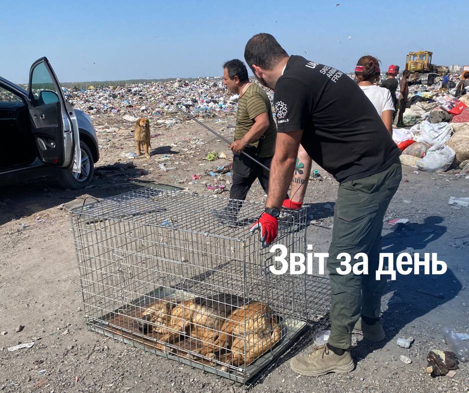 📌 1 168 день повномасштабного вторгнення
