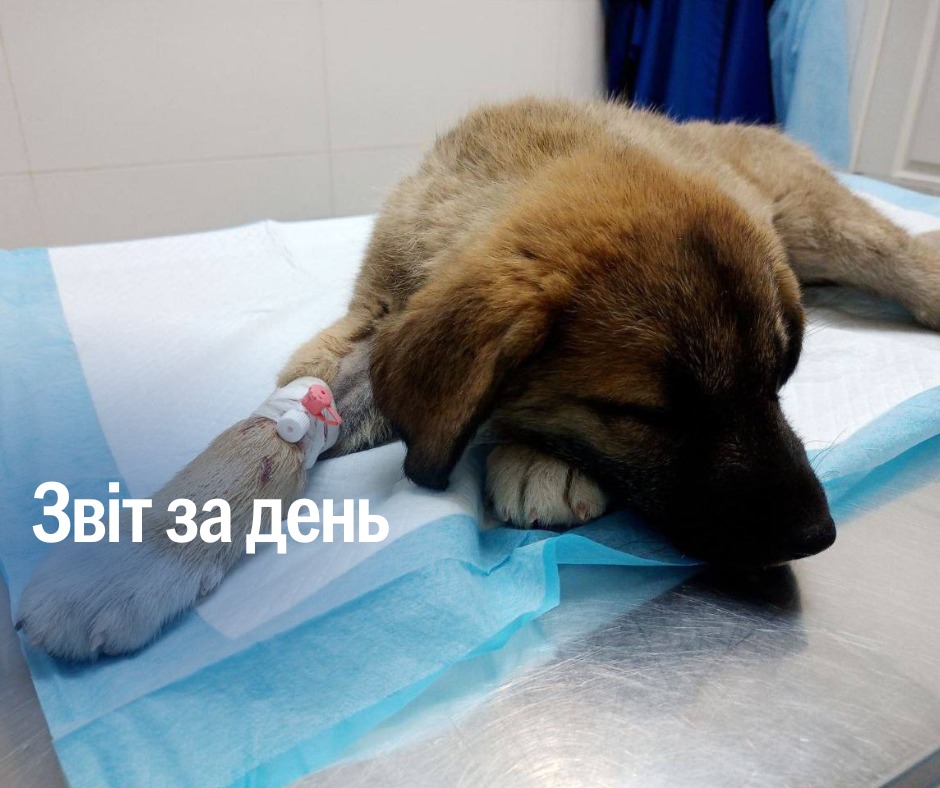 📌 1 162 день повномасштабного вторгнення