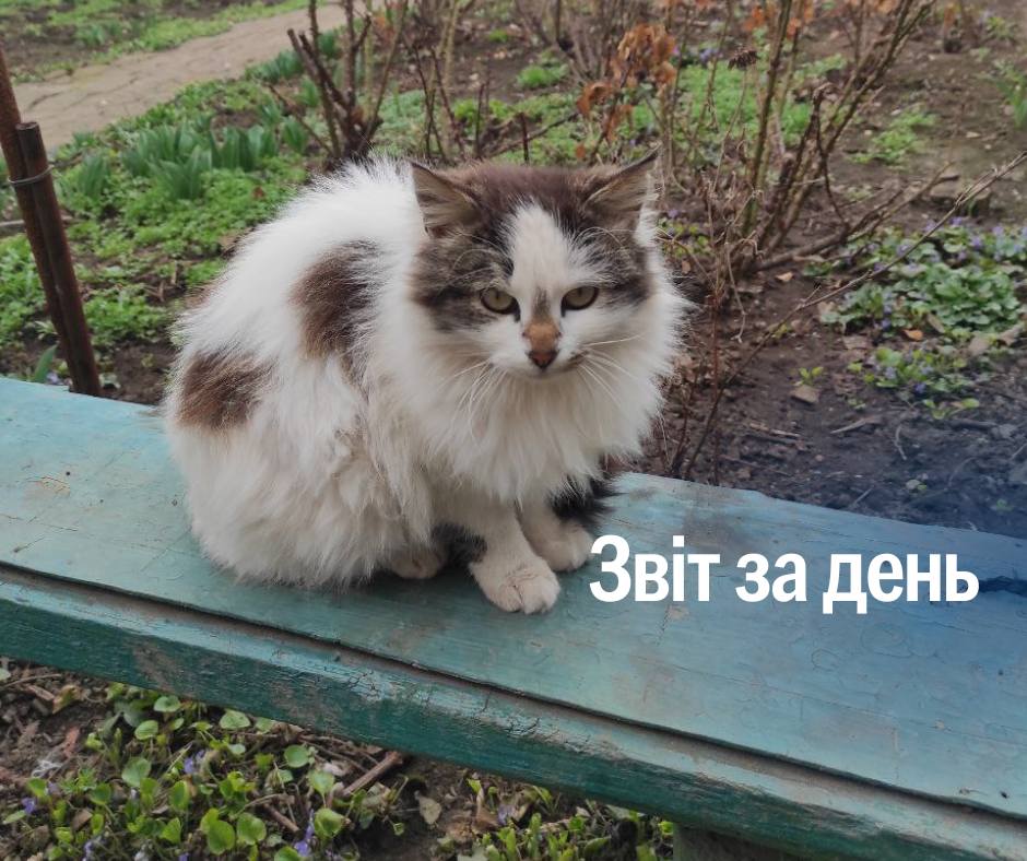 📌 1 169 день повномасштабного вторгнення
