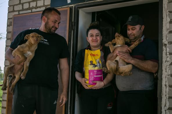 Тварин ніколи не рятує чудо. Їх рятує доброта ваших сердець 💛 🐾