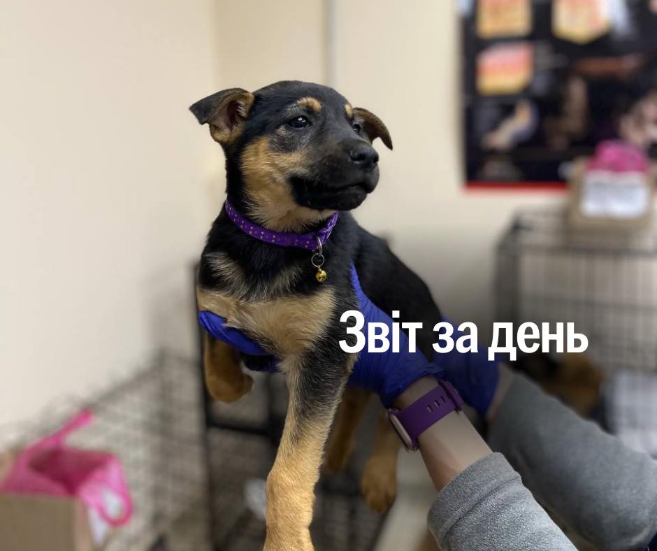 📌 1 166 день повномасштабного вторгнення, і сьогодні допомогу отримала дуже мила родина 🥹