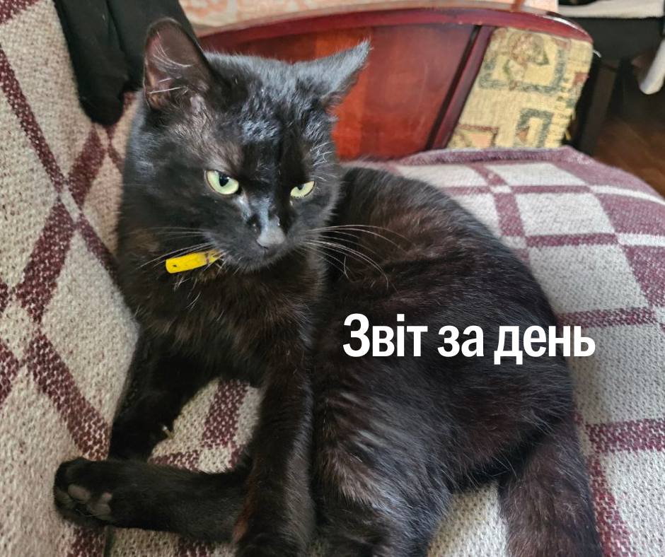 📌 1 167 день повномасштабного вторгнення