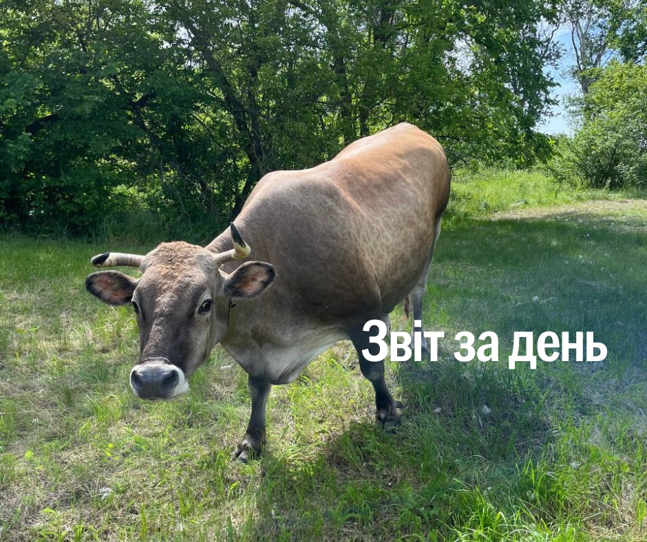 📌 1 188 день повномасштабного вторгнення