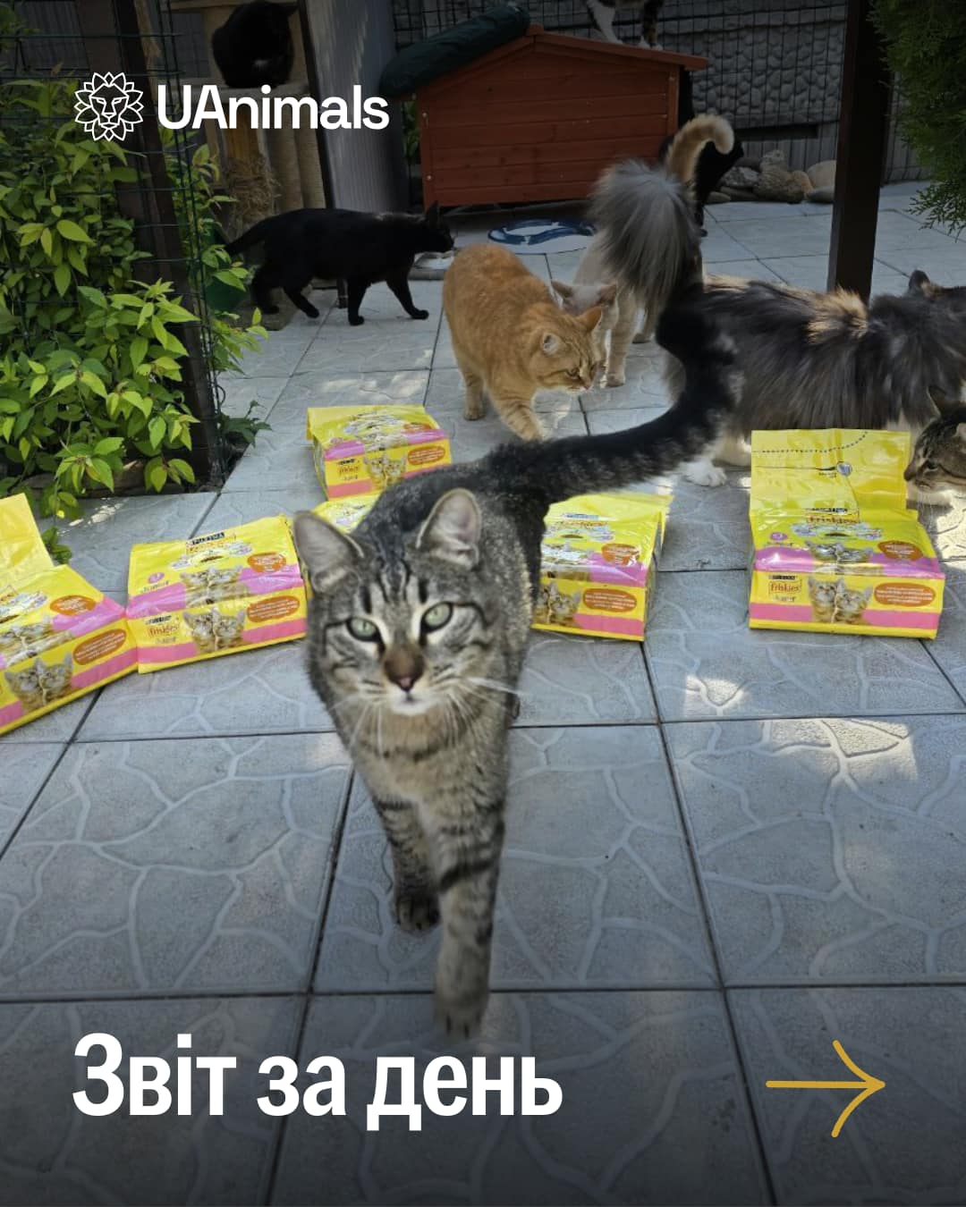 📌 1173 день повномасштабного вторгнення!