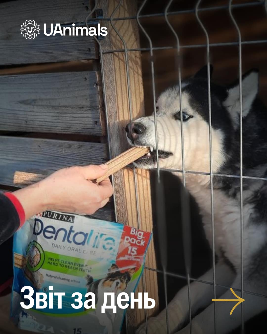 📌 1172 день повномасштабного вторгнення