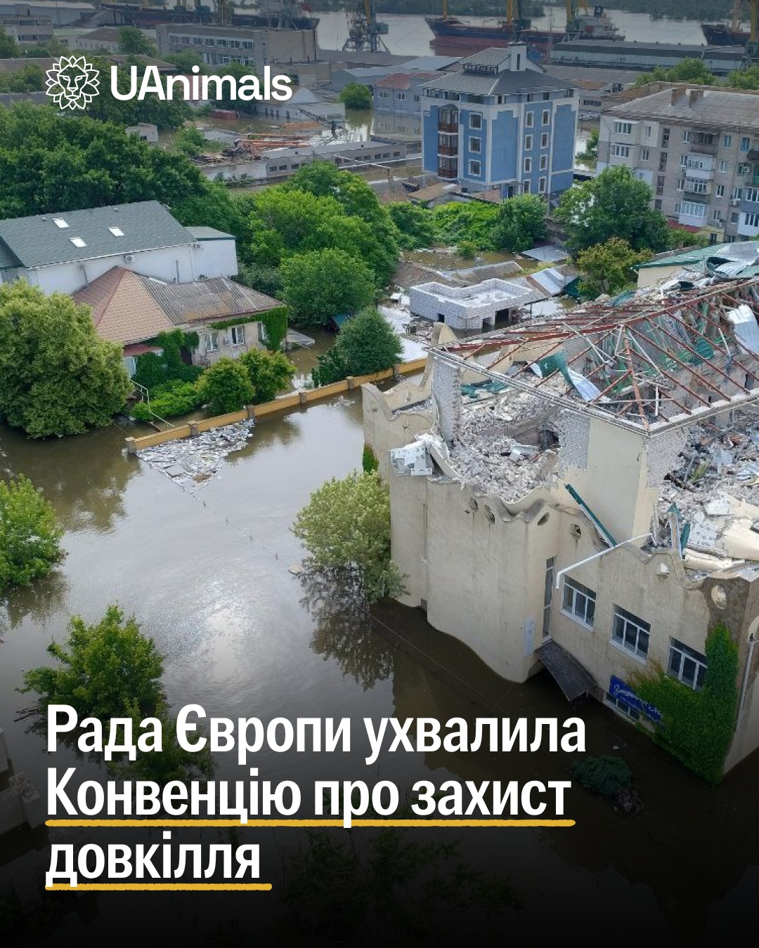Рада Європи ухвалила Конвенцію про захист довкілля 💪