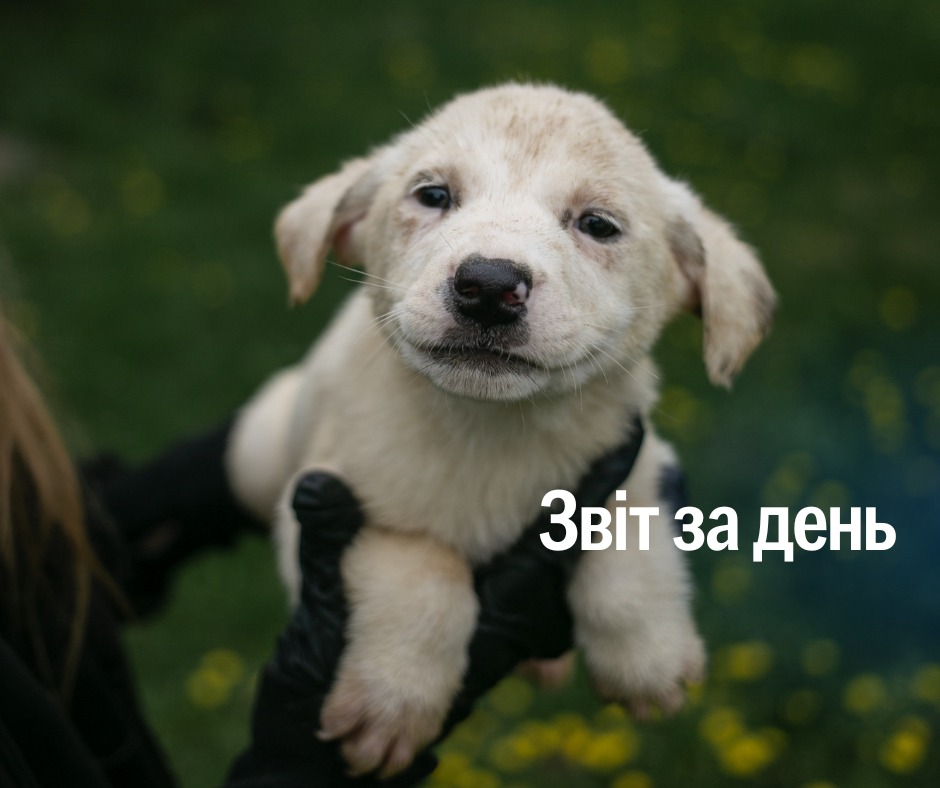 📌 1175 день повномасштабного вторгнення