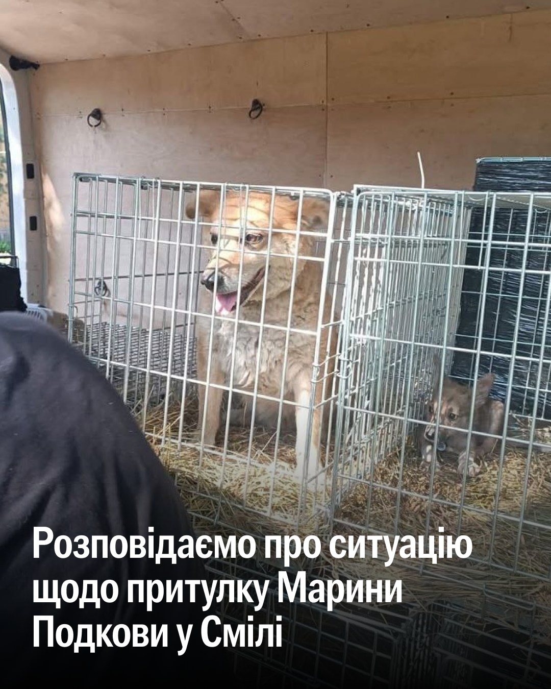 UPD: Друзі, інформуємо про перебіг ситуації із перетримкою в Смілі