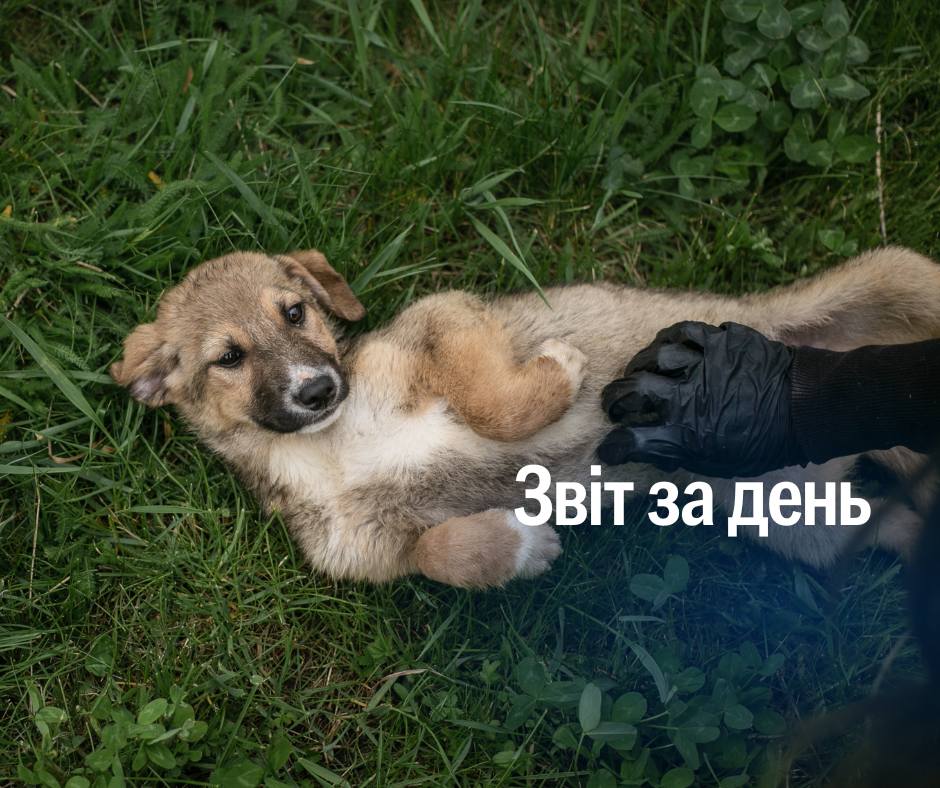 📌 1 183 день повномасштабного вторгнення