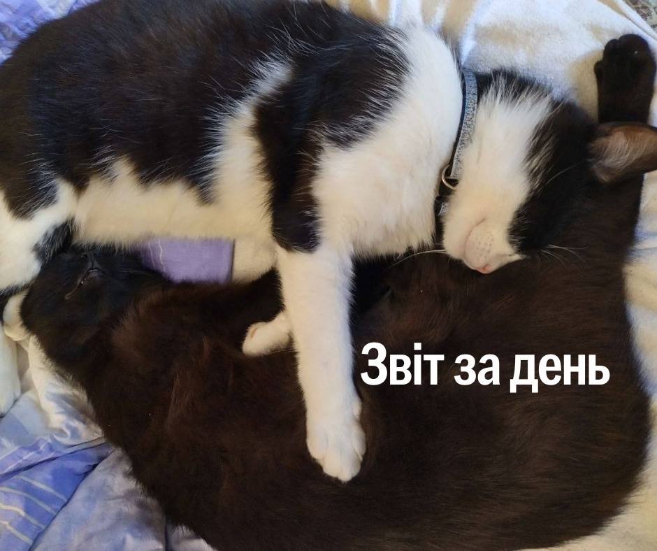 📌 1 186 день повномасштабного вторгнення