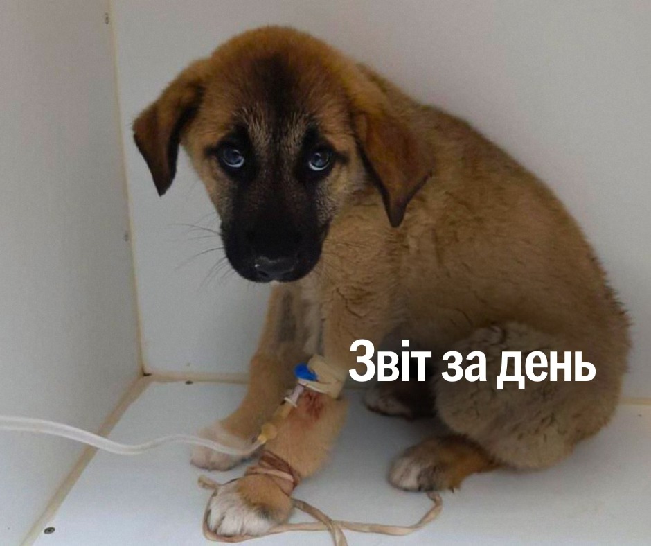 📌 1 187 день повномасштабного вторгнення