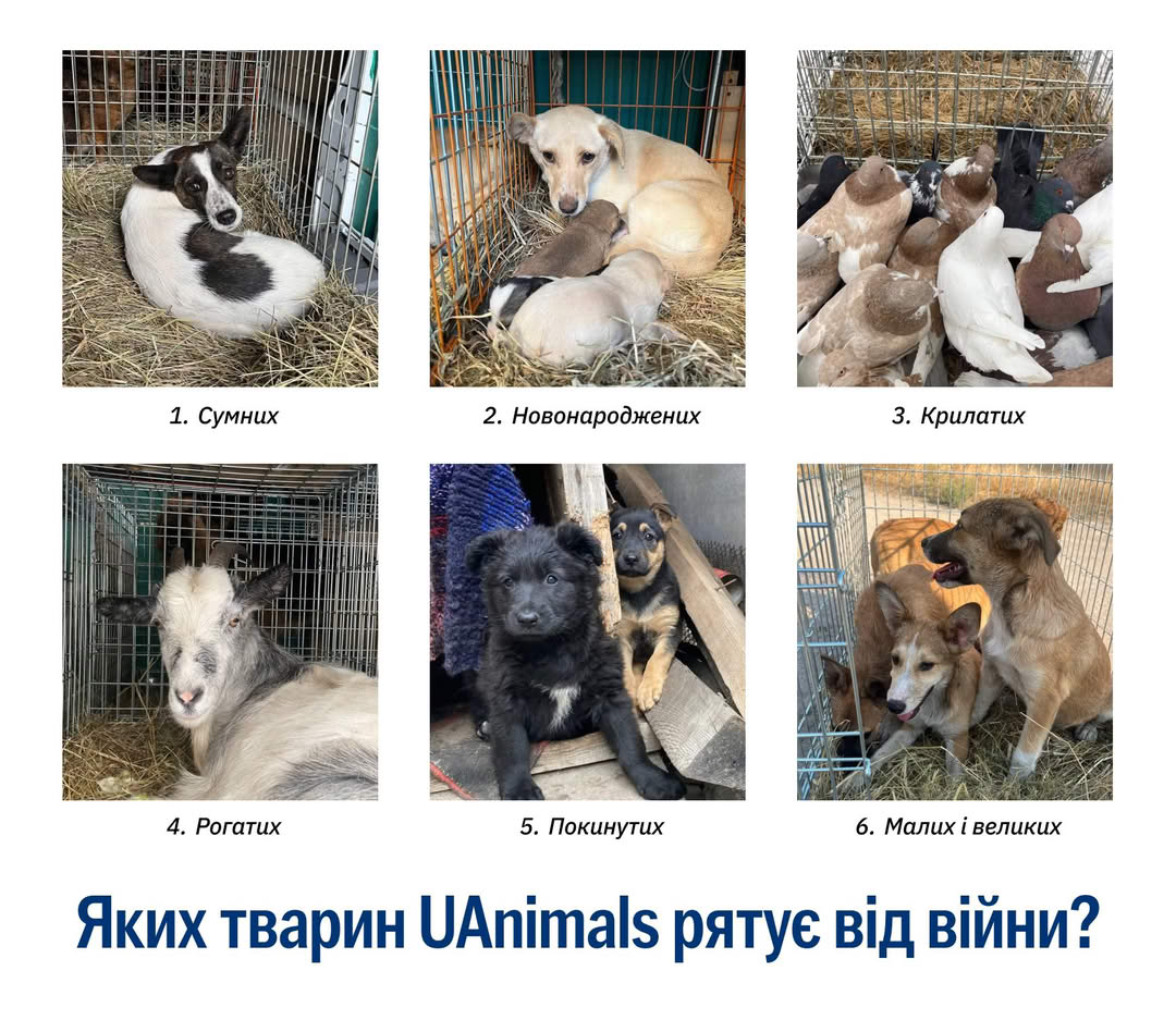 Кожне життя — важливе!