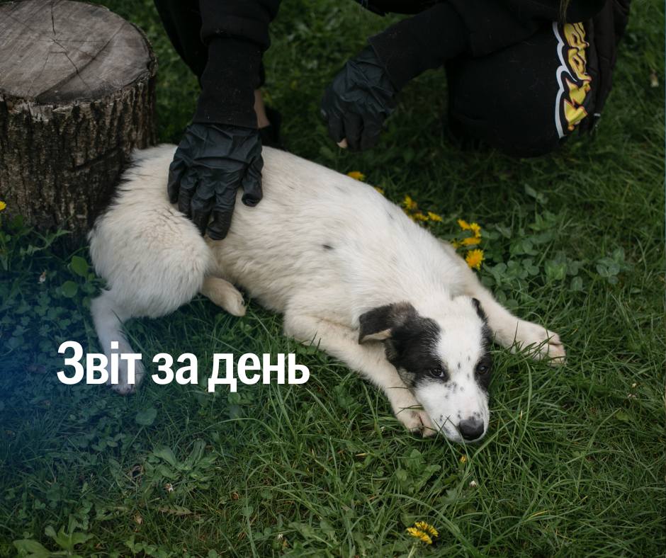 📌 1 182 день повномасштабного вторгнення