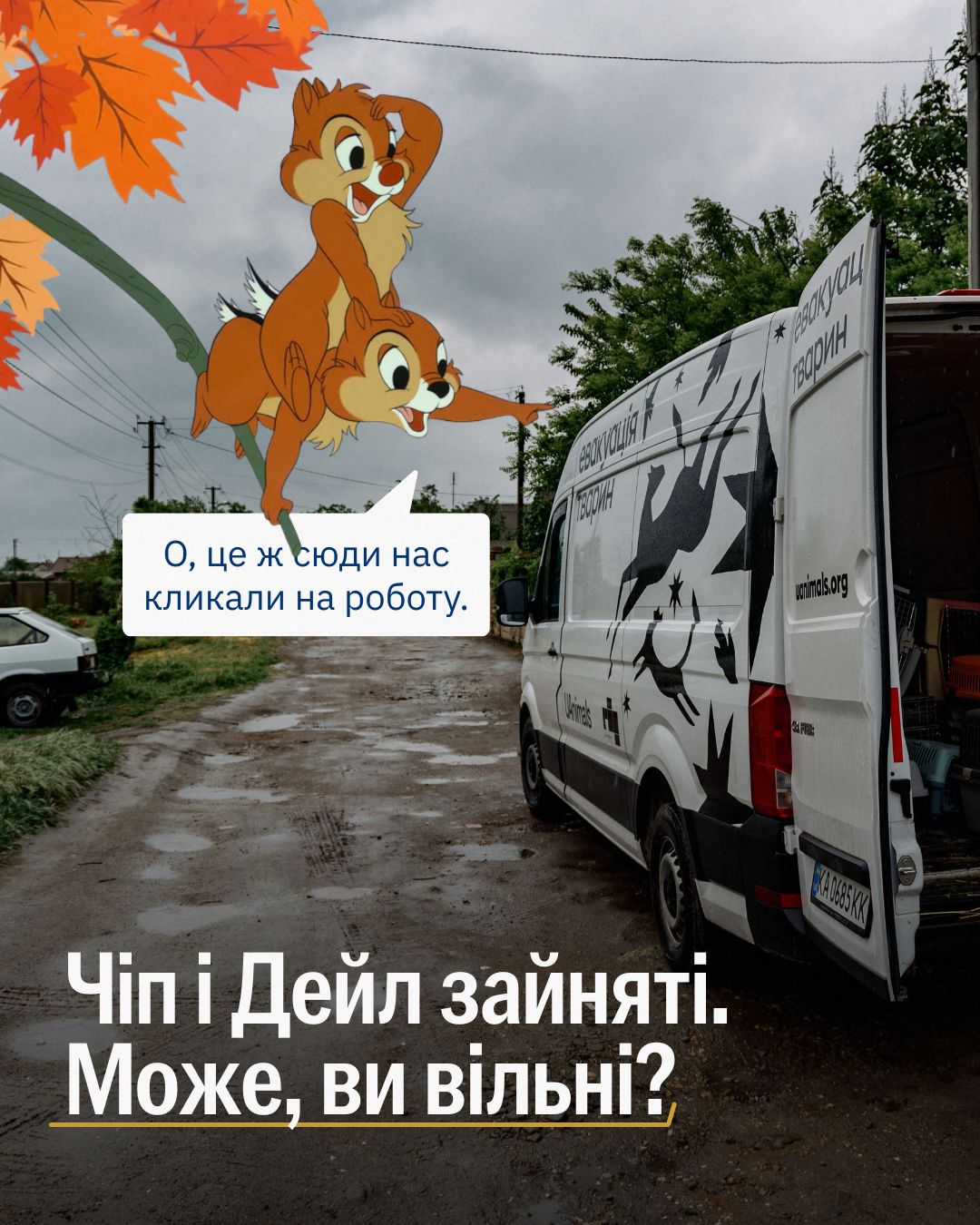 Шукаємо рятівника або рятівницю в команду порятунку UAnimals 🔥
