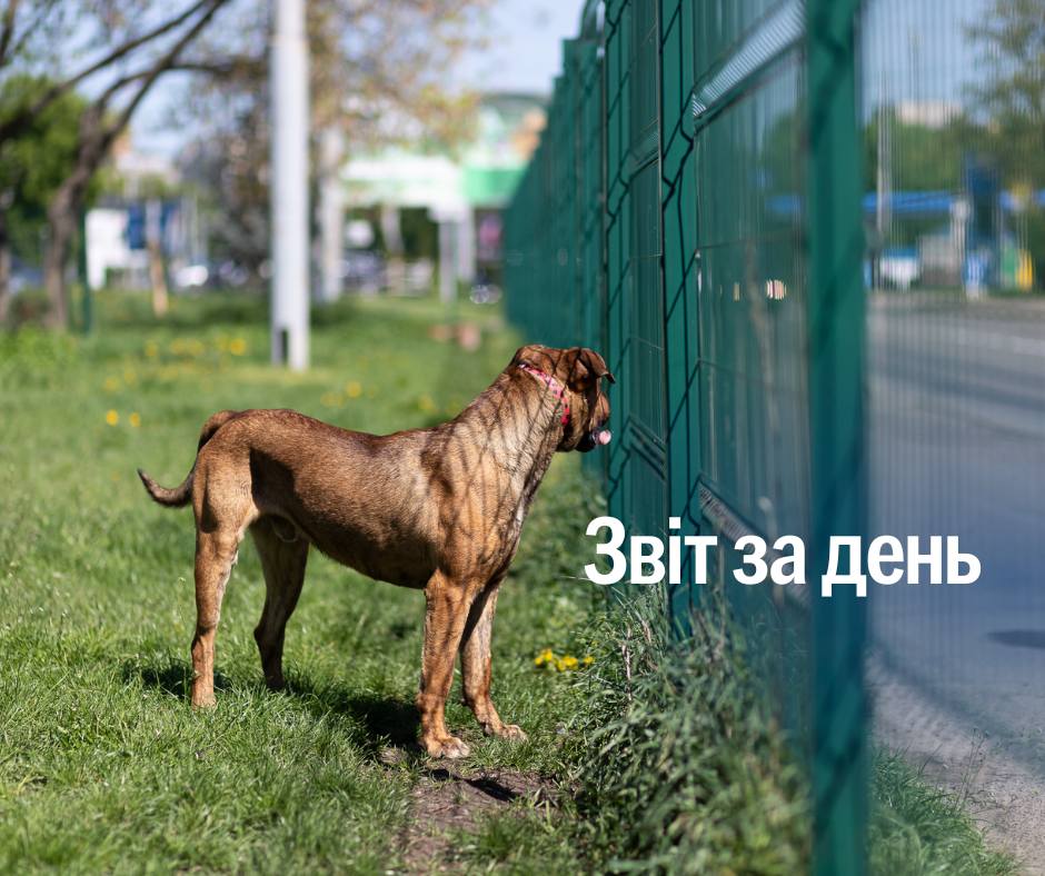 📌 1 185 день повномасштабного вторгнення