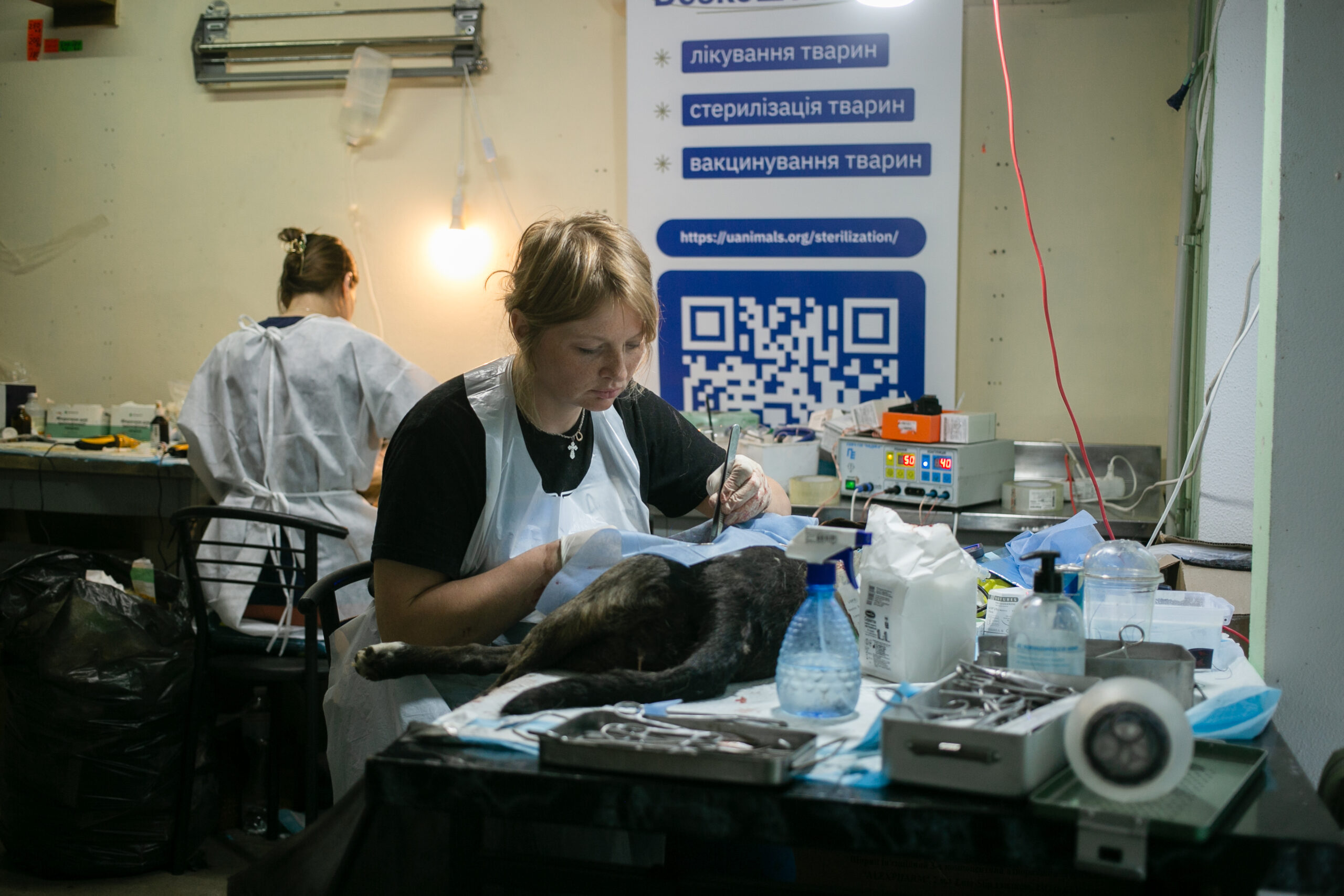 ветеринарка UAnimals стерилізує тварину