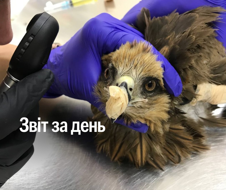 📌 1 206 день повномасштабного вторгнення
