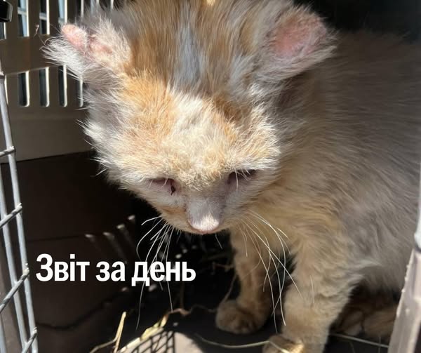 📌 1 192 день повномасштабного вторгнення