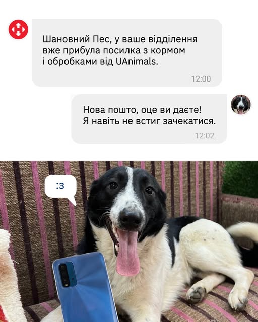 Навіть коти та собаки чекають сповіщення від Нової пошти