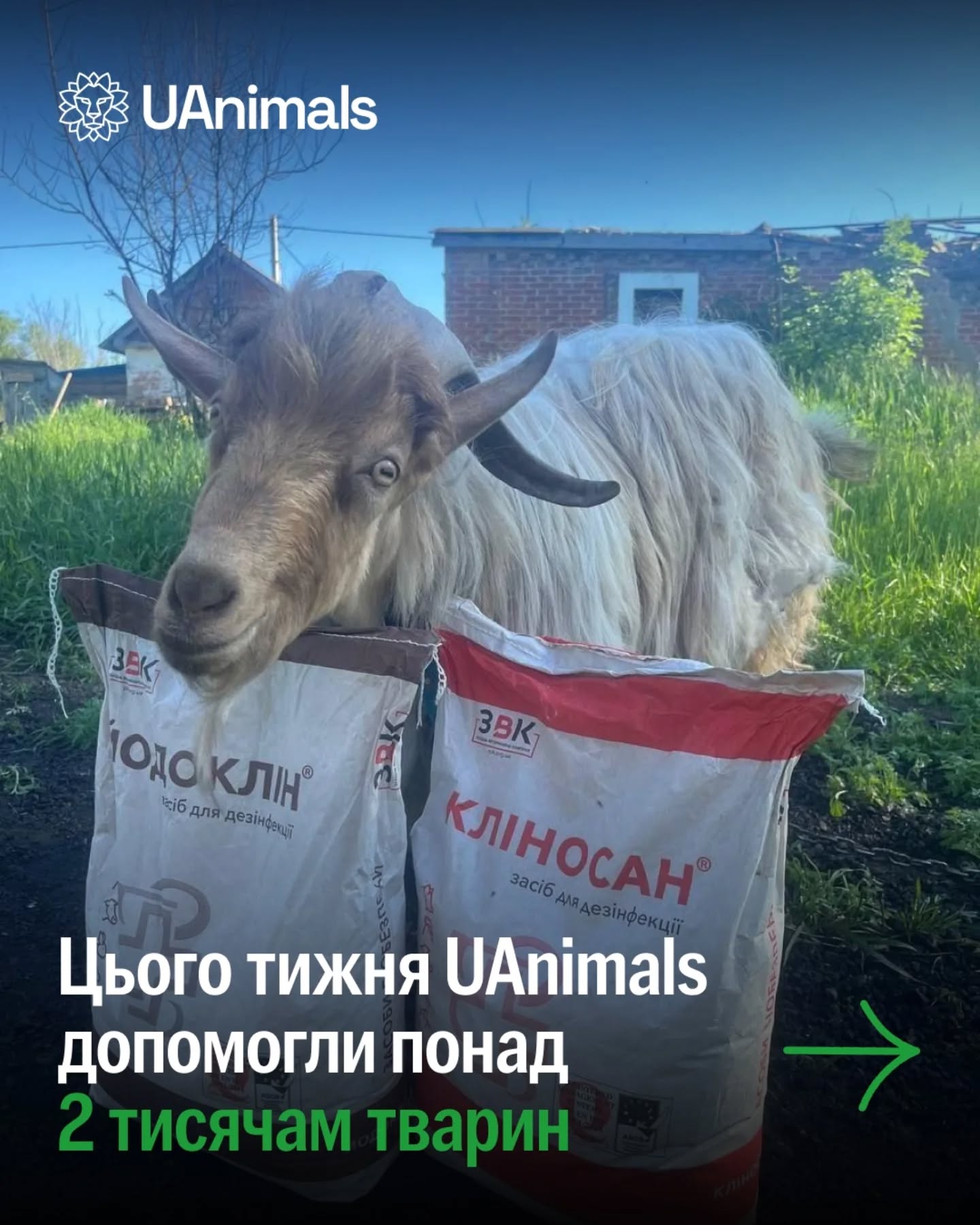 Ми щодня отримуємо новий шанс врятувати чиєсь життя 🥺
