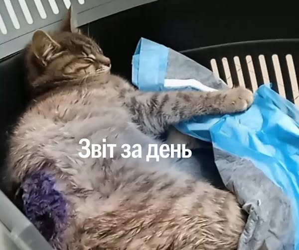 📌 1 193 день повномасштабного вторгнення
