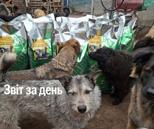 📌 1 200 день повномасштабного вторгнення