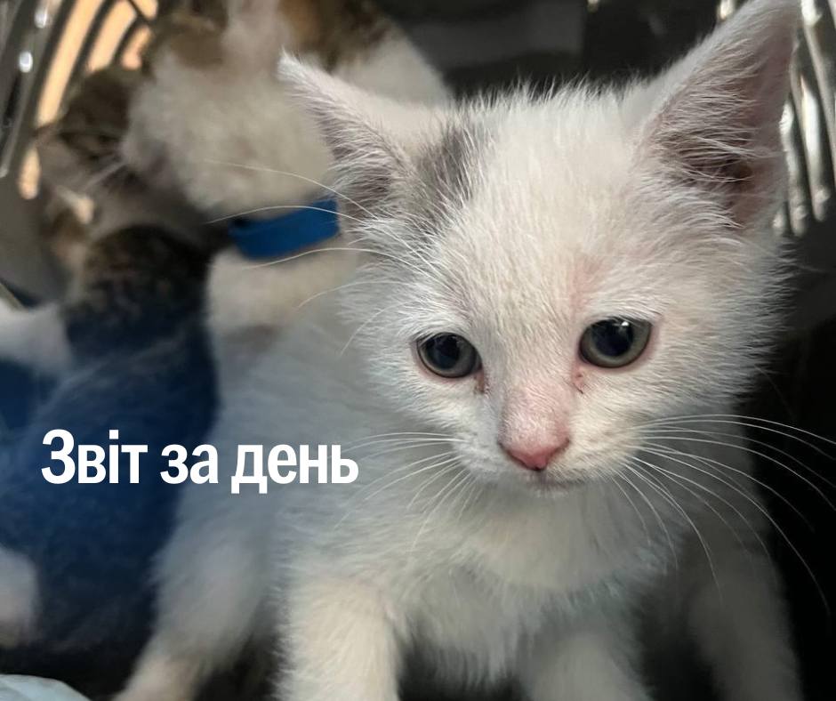 📌 1197 день повномасштабного вторгнення