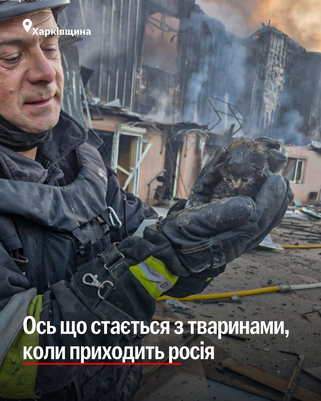 росія лишає після себе тільки руїни та смерть 💔