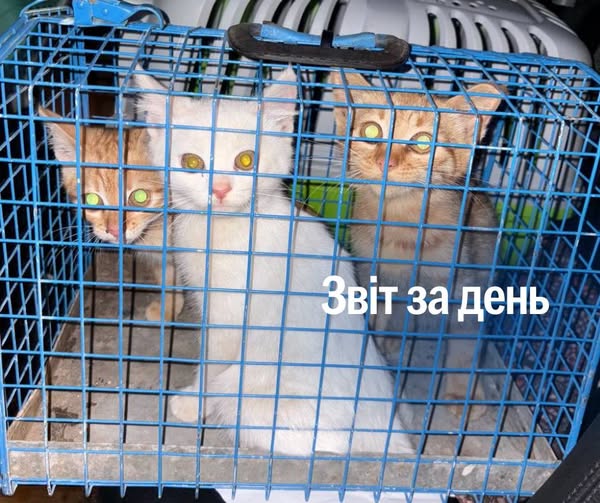 📌 1 198 день повномасштабного вторгнення