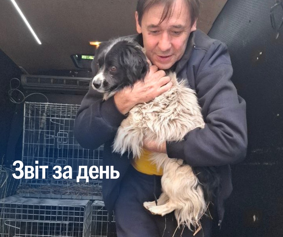 📌 1203 день повномасштабного вторгнення