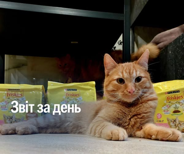 📌 1201 день повномасштабного вторгнення