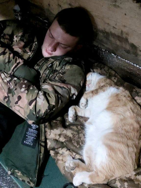 Допоможіть полікувати тварин військових 🫶🐱