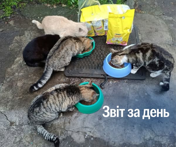 📌 1 215 день повномасштабного вторгнення