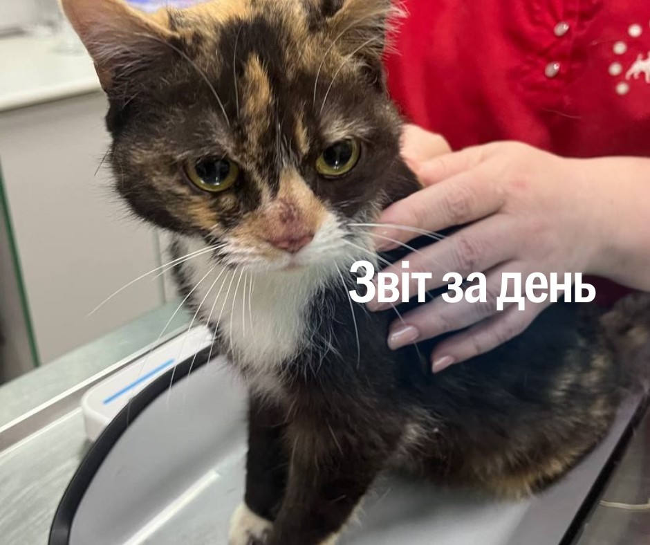 📌 1 204 день повномасштабного вторгнення