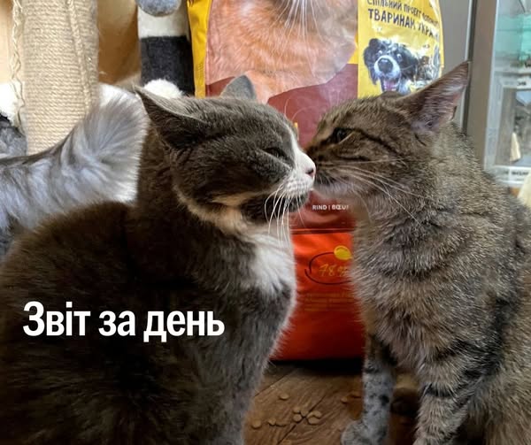 📌 1 214 день повномасштабного вторгнення