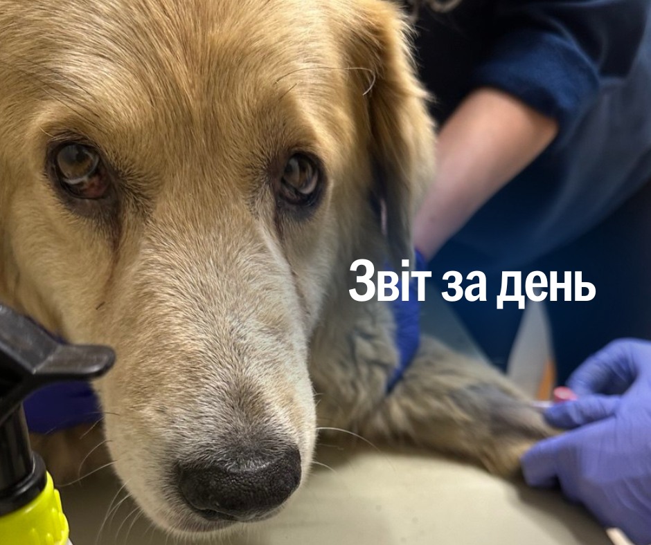 1208 день повномасштабного вторгнення