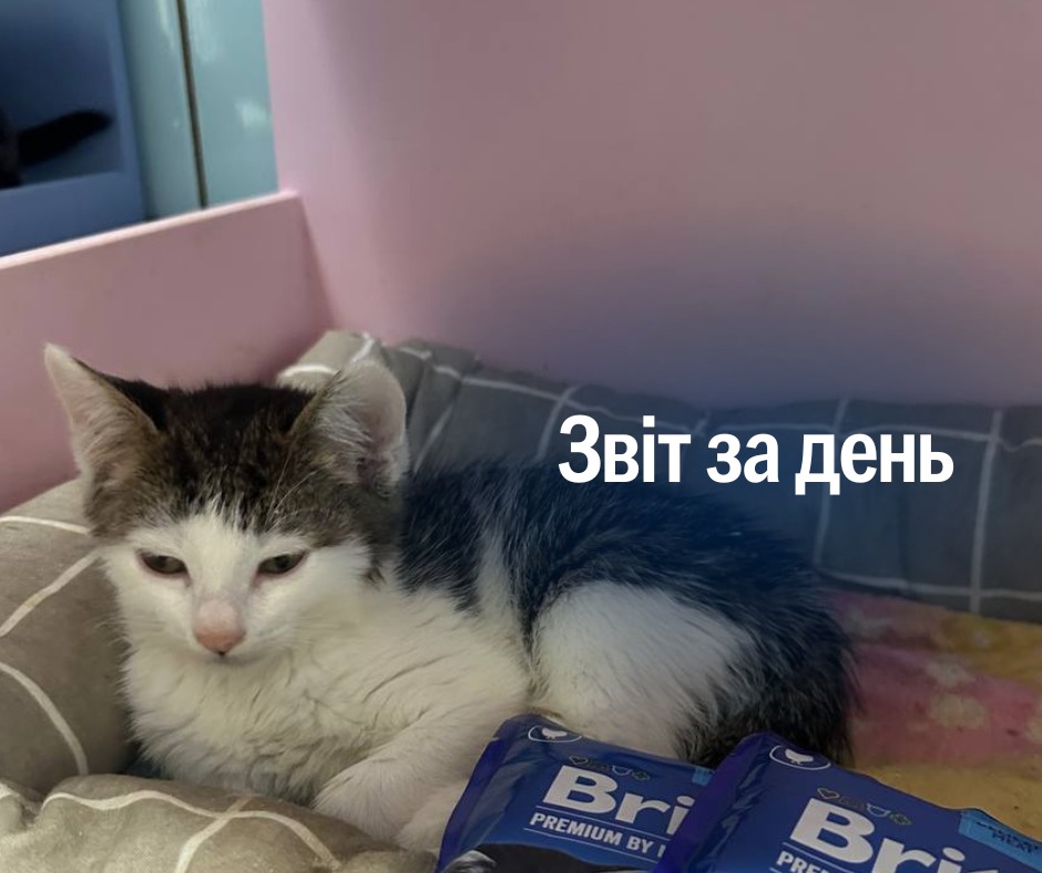 1207 день повномасштабного вторгнення